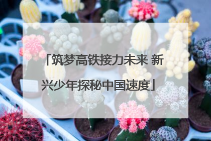 筑梦高铁接力未来 新兴少年探秘中国速度