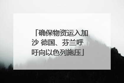 确保物资运入加沙 德国、芬兰呼吁向以色列施压