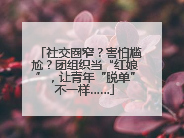社交圈窄？害怕尴尬？团组织当“红娘”，让青年“脱单”不一样……