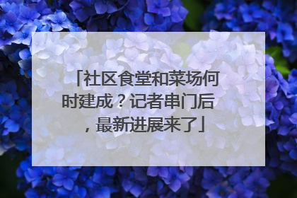 社区食堂和菜场何时建成？记者串门后，最新进展来了