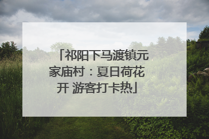 祁阳下马渡镇元家庙村：夏日荷花开 游客打卡热