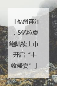 福州连江：5亿粒夏鲍陆续上市 开启“丰收盛宴”