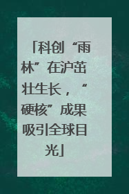 科创“雨林”在沪茁壮生长，“硬核”成果吸引全球目光