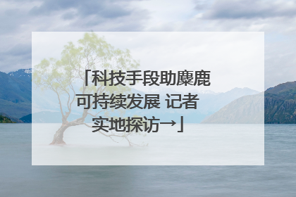 科技手段助麋鹿可持续发展 记者实地探访→