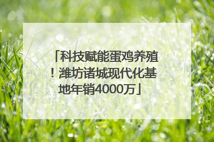 科技赋能蛋鸡养殖！潍坊诸城现代化基地年销4000万