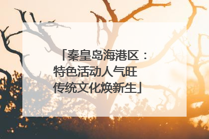 秦皇岛海港区：特色活动人气旺 传统文化焕新生