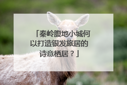 秦岭腹地小城何以打造银发旅居的诗意栖居？