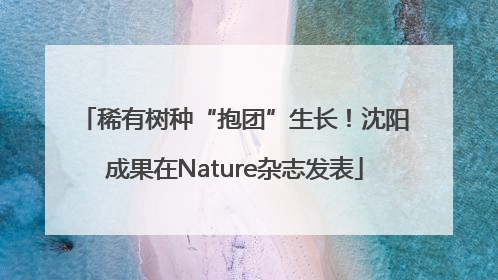 稀有树种“抱团”生长！沈阳成果在Nature杂志发表