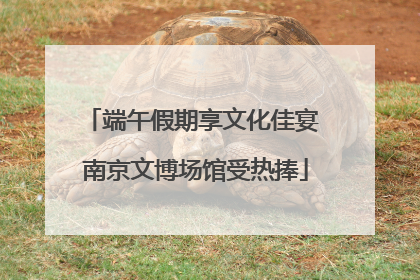 端午假期享文化佳宴 南京文博场馆受热捧