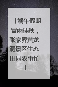 端午假期冒雨插秧，张家界黄龙洞景区生态田园农事忙