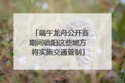 端午龙舟公开赛期间德阳这些地方将实施交通管制