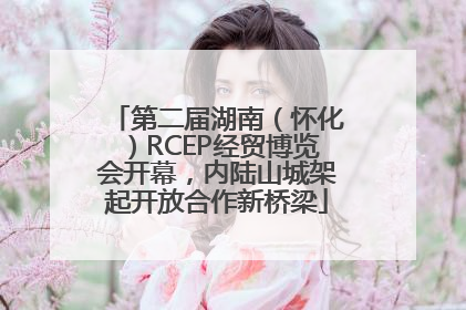 第二届湖南（怀化）RCEP经贸博览会开幕，内陆山城架起开放合作新桥梁