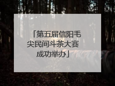 第五届信阳毛尖民间斗茶大赛成功举办