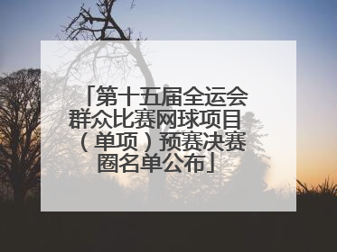 第十五届全运会群众比赛网球项目（单项）预赛决赛圈名单公布