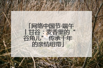 网络中国节·端午丨甘谷：麦香里的“谷角儿” 传承千年的亲情纽带