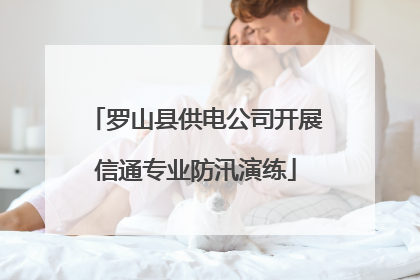 罗山县供电公司开展信通专业防汛演练