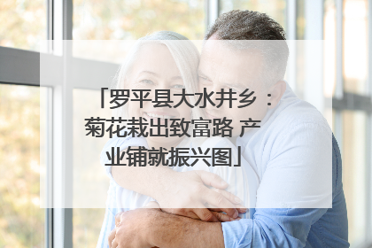 罗平县大水井乡：菊花栽出致富路 产业铺就振兴图
