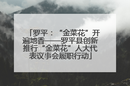 罗平：“金菜花”开遍地香——罗平县创新推行“金菜花”人大代表议事会履职行动