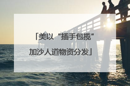 美以“插手包揽”加沙人道物资分发