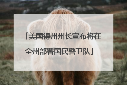 美国得州州长宣布将在全州部署国民警卫队