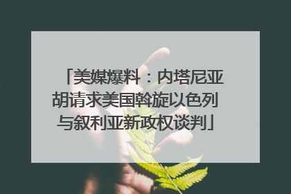 美媒爆料：内塔尼亚胡请求美国斡旋以色列与叙利亚新政权谈判