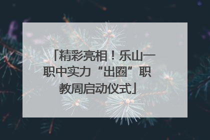精彩亮相！乐山一职中实力“出圈”职教周启动仪式