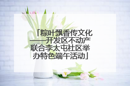 粽叶飘香传文化——开发区不动产联合李太屯社区举办特色端午活动