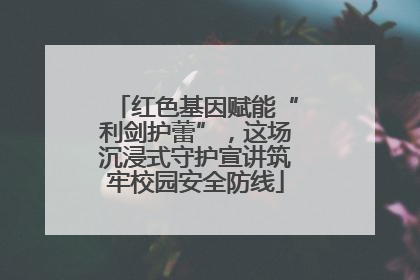 红色基因赋能“利剑护蕾”，这场沉浸式守护宣讲筑牢校园安全防线