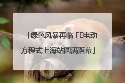 绿色风暴再临 FE电动方程式上海站圆满落幕