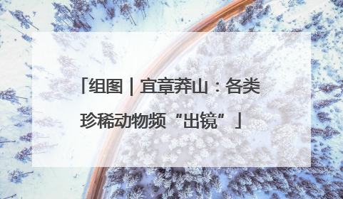 组图｜宜章莽山：各类珍稀动物频“出镜”