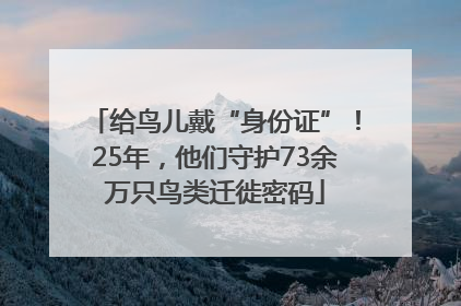给鸟儿戴“身份证”！25年，他们守护73余万只鸟类迁徙密码
