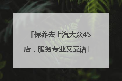 保养去上汽大众4S店，服务专业又靠谱