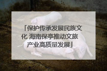 保护传承发展民族文化 海南保亭推动文旅产业高质量发展