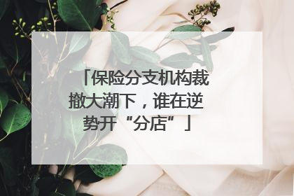 保险分支机构裁撤大潮下，谁在逆势开“分店”