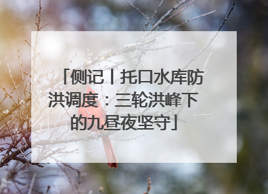 侧记丨托口水库防洪调度：三轮洪峰下的九昼夜坚守