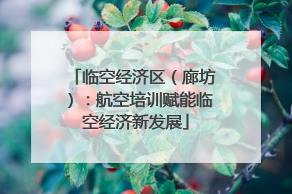 临空经济区（廊坊）：航空培训赋能临空经济新发展