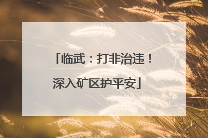 临武：打非治违！深入矿区护平安