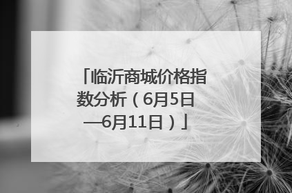临沂商城价格指数分析（6月5日—6月11日）