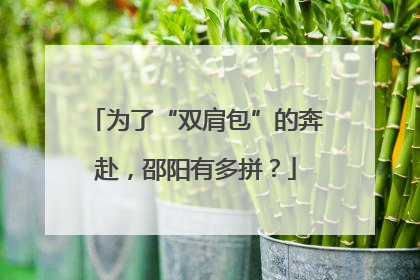 为了“双肩包”的奔赴，邵阳有多拼？