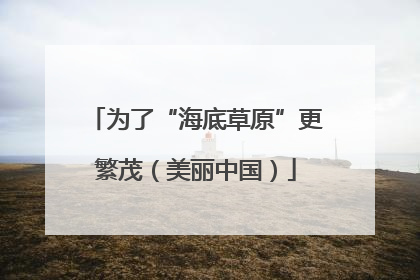 为了“海底草原”更繁茂（美丽中国）
