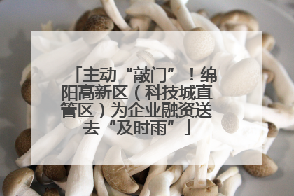 主动“敲门”！绵阳高新区（科技城直管区）为企业融资送去“及时雨”