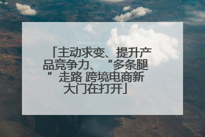 主动求变、提升产品竞争力、“多条腿”走路 跨境电商新大门在打开