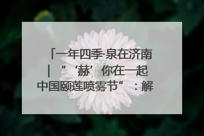 一年四季·泉在济南｜“‘赫’你在一起 中国颐莲喷雾节”：解锁济南夏日消费热潮中的国货新势力