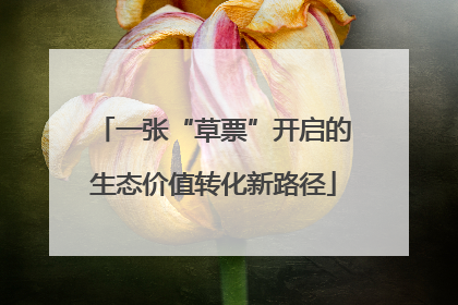 一张“草票”开启的生态价值转化新路径