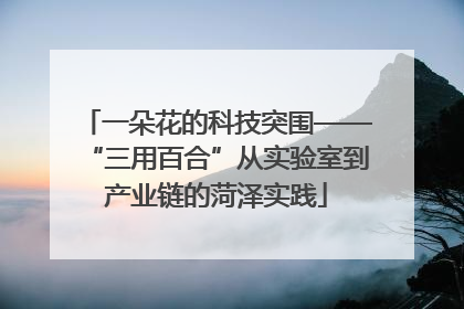 一朵花的科技突围——“三用百合”从实验室到产业链的菏泽实践