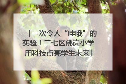 一次令人“哇哦”的实验！二七区佛岗小学用科技点亮学生未来