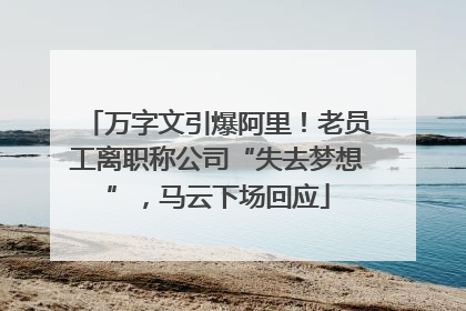 万字文引爆阿里！老员工离职称公司“失去梦想”，马云下场回应