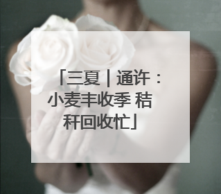 三夏｜通许：小麦丰收季 秸秆回收忙