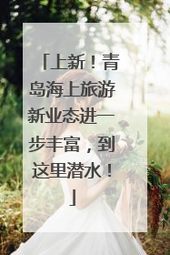 上新！青岛海上旅游新业态进一步丰富，到这里潜水！