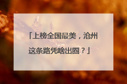 上榜全国最美，沧州这条路凭啥出圈？